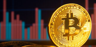 With businesses accepting digital money, opportunities galore for crypto investors With businesses accepting digital money opportunities galore for crypto investors