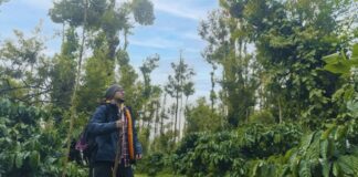 “All Divine” Brodha V’s latest released "All Divine" Brodha V's latest released