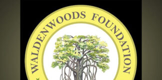 Creation of Eco village is need of hour for environmental and ecological balance Creation of Eco village is need of hour for environmental and ecological balance