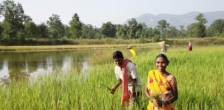 BALCO transforming the lives of farmers in the vicinity