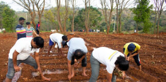 EY Global Delivery Services celebrates International Volunteering Day Week