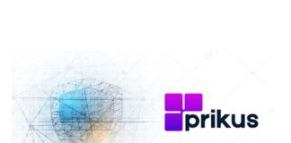 Cybersecurity Startup Prikus Tech raises USD 6.2M in seed funding