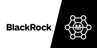 BlackRock’s Monumental Investment in Minati Token and MinatiVerse: A Game-Changer for the Minati Community