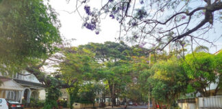 The Rise of Koramangala: Bengaluru’s Premier Neighborhood for the Elite