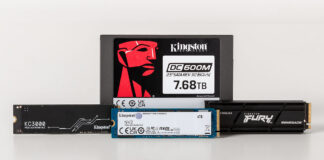 Kingston Technology Tops Channel SSD Market Share for 2023