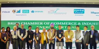 Blueprint for Clean Energy Future: BRICS Chamber of Commerce and Industry Hosts Energy Partnership Forum 2.0