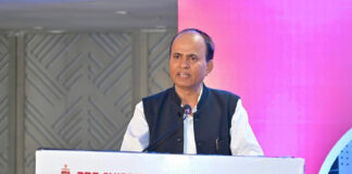 PDP Shipping & Projects Limited Announces IPO Opening