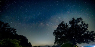 Treks and Trails Lights Up Maharashtra with Fireflies Festival 2025: A Journey into Nature, Community, and Conservation