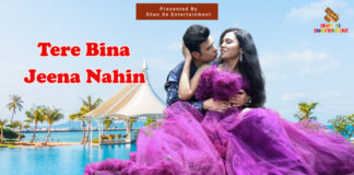 ‘Tere Bina Jeena Nahin’ Romantic Album Featuring Bollywood Actor Shantanu Bhamare & Ruchita Aglawe In Lead Role Released!