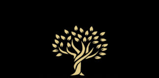 Where Cultures Meet in Celebration: How Weddings By Mulberry is Redefining Indian Weddings