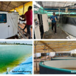 Prasinos Tech Innovations to Showcase Nanobubble Technology at Aquaex India 2025 – Powering the Next Wave of India’s Blue Revolution