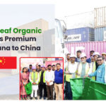 Root2Leaf Organic Leads Export of Premium Makhana to China, Strengthening India’s Global Superfood Presence