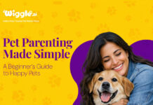 Pet Parenting Made Simple: A Beginner’s Guide to Happy Pets